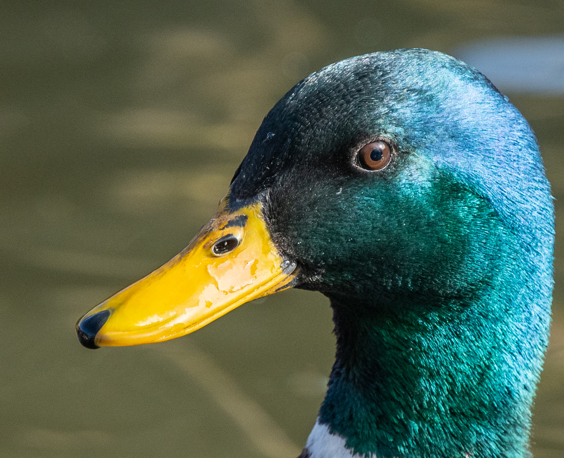 full