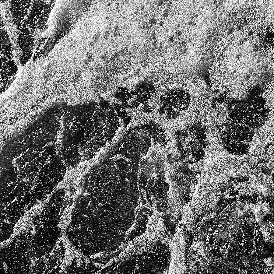 water-schaum-100-a.jpg
