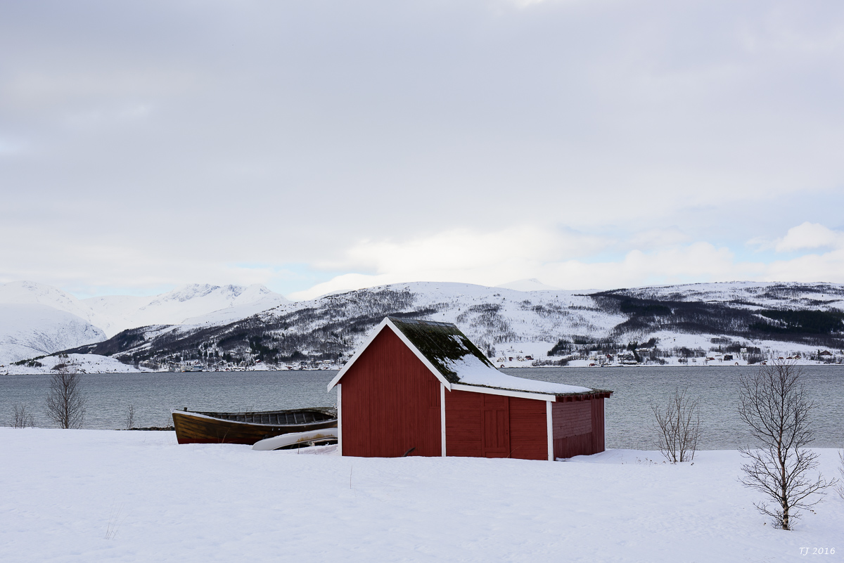 DSC_2468.jpg