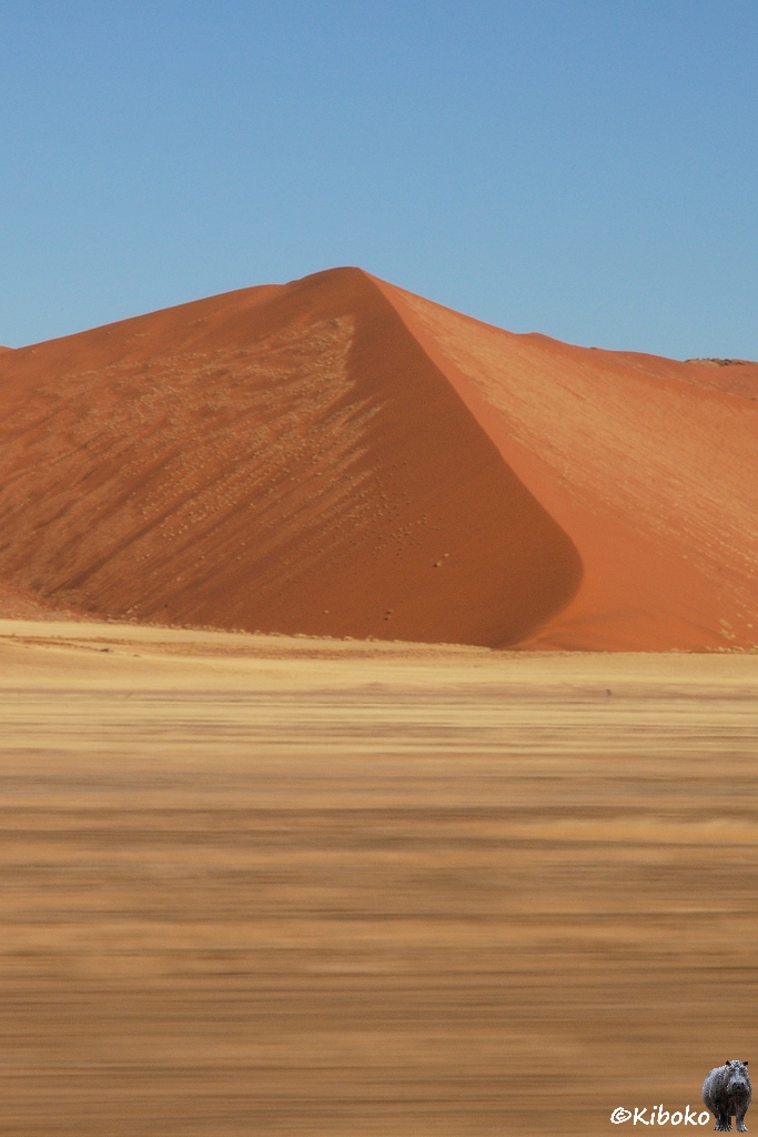 Eine orangefarbene Düne unter blauem Himmel. Im Vordergrund ist durch die Geschwindigkeit verwischtes Trockengras.