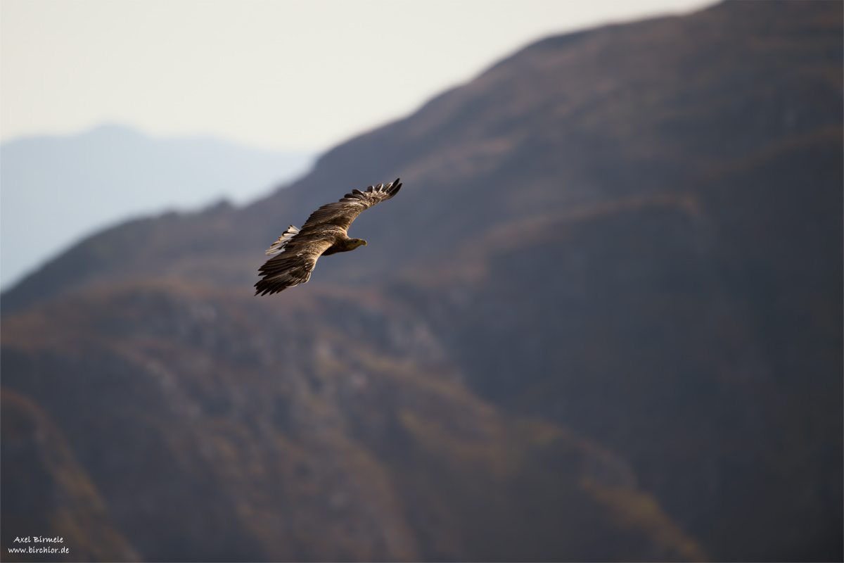 20140514_0060_PS_1200Px.jpg