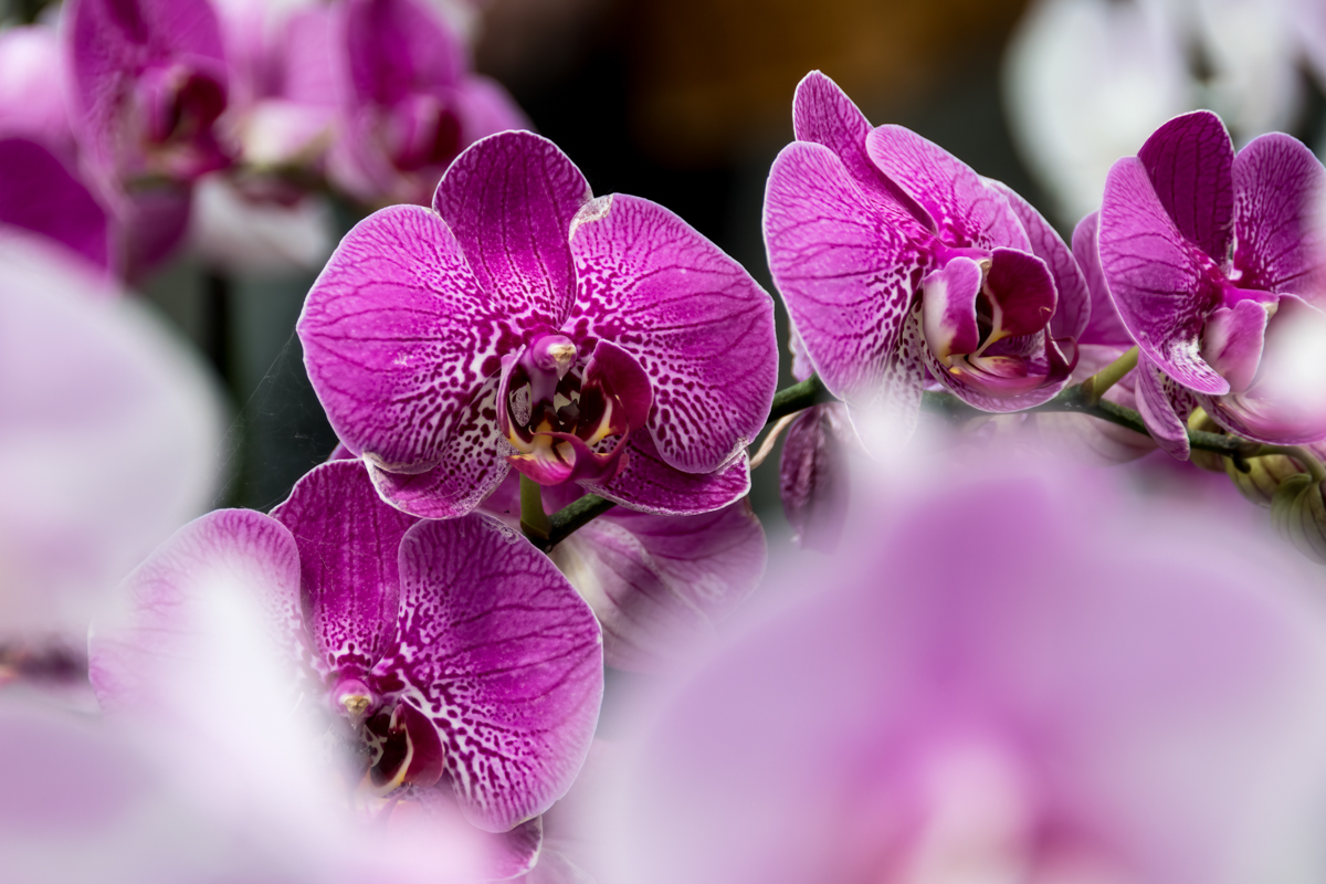 full