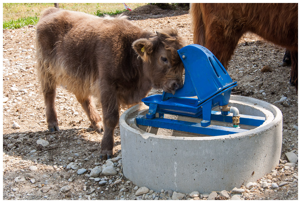 Wasserspender001.jpg