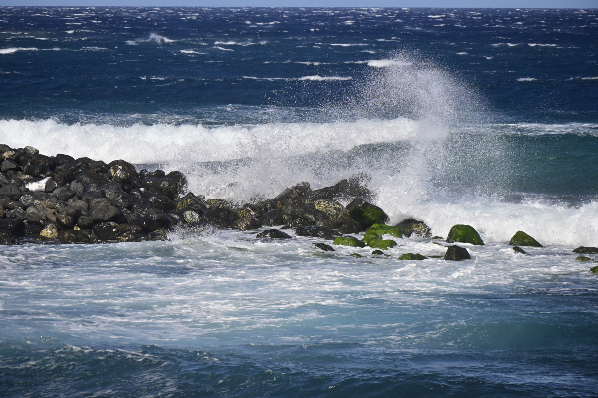 _U012310-1200x800.jpeg