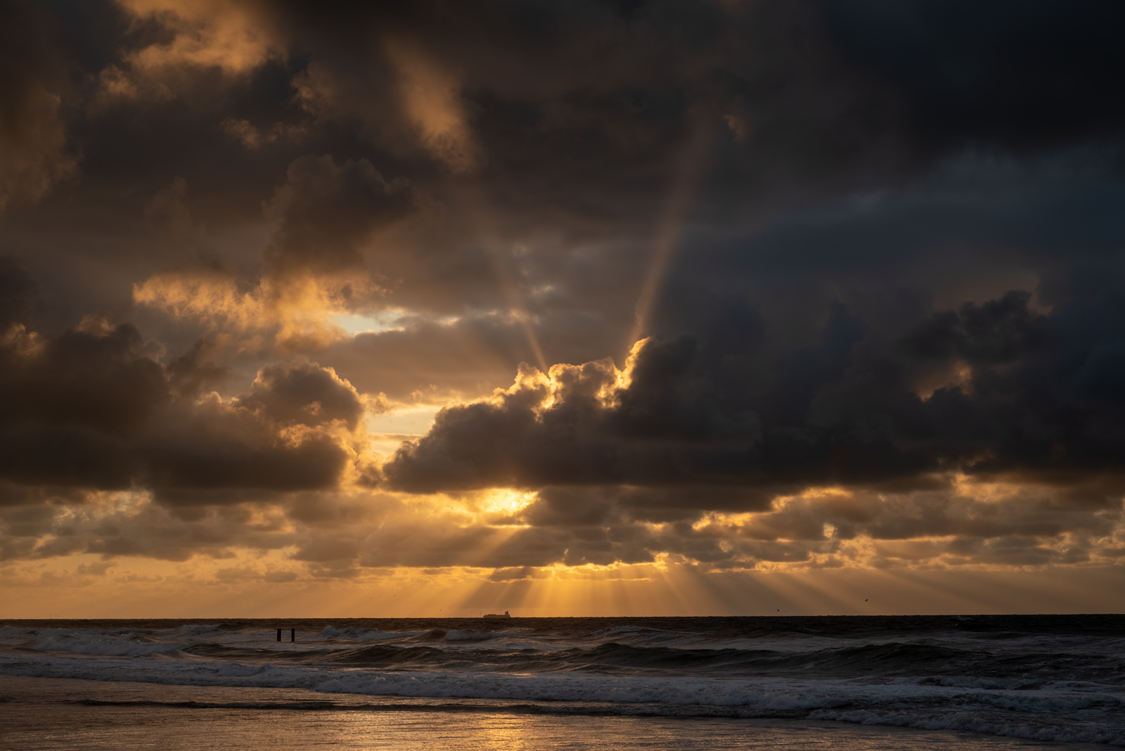 DSC_1182.jpg
