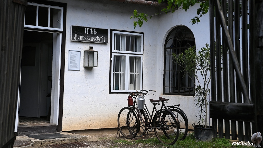 Das Bild zeigt die Eingangstür zu einem einstöckigen weißen Gebäude mit geöffneter Tür. Neben der Tür ist ein Schild mit der Aufschrift: Milchgenossenschaft. Davor stehen zwei historische Fahrräder mit Milchkannen am Lenker.
