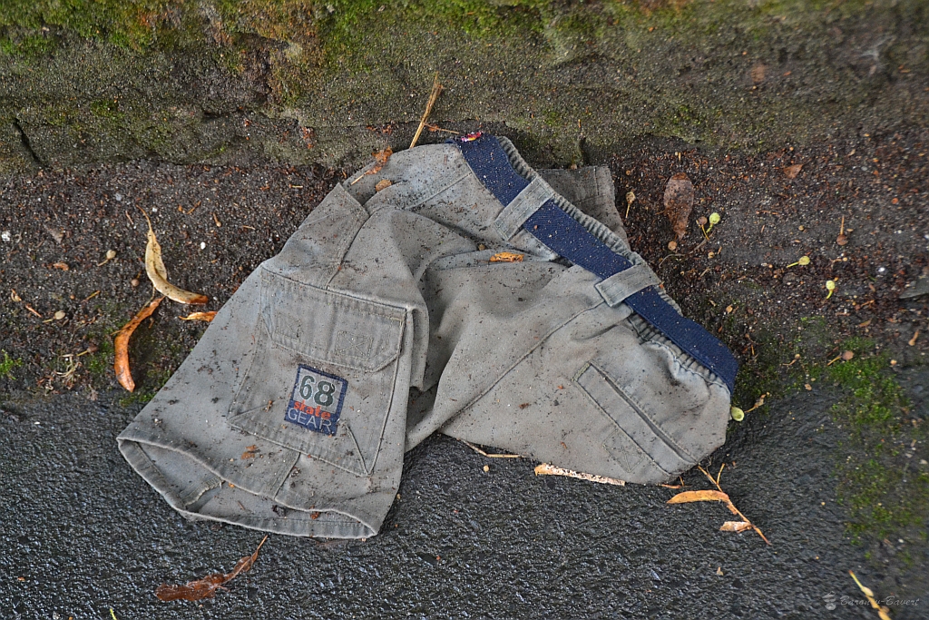 20120216584_1b4363ab19_b.jpg
