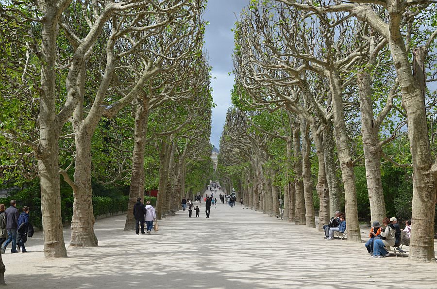 paris15_033.jpg