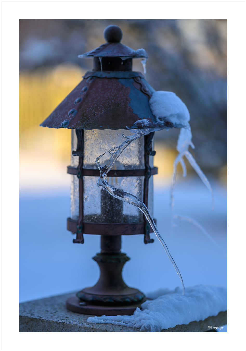 DSC_4093.jpg