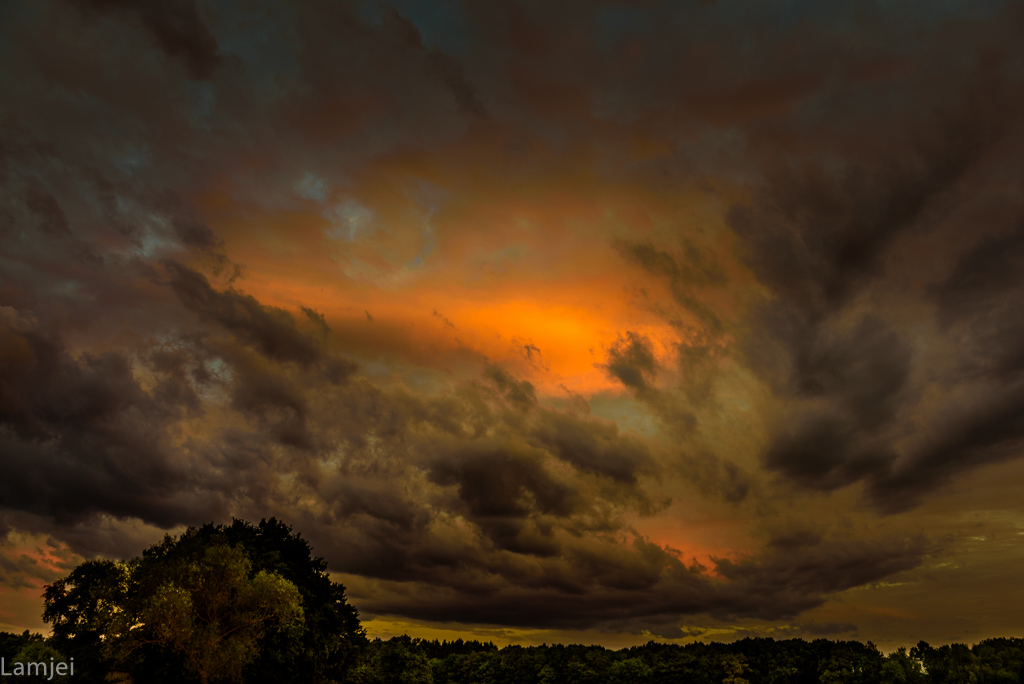 DSC_0578.jpg