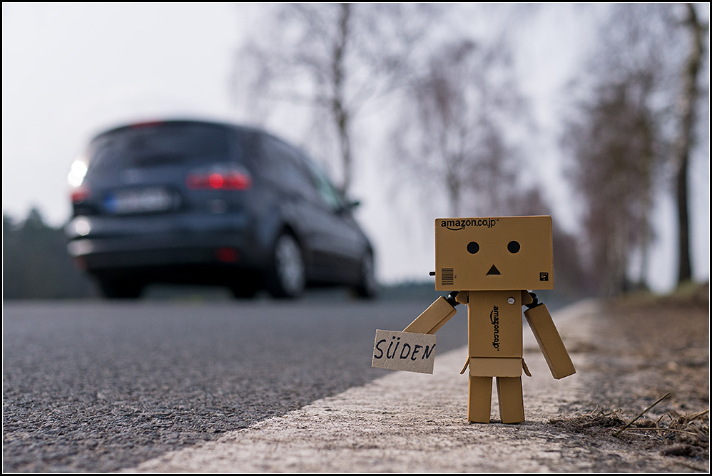 danbo04.jpg