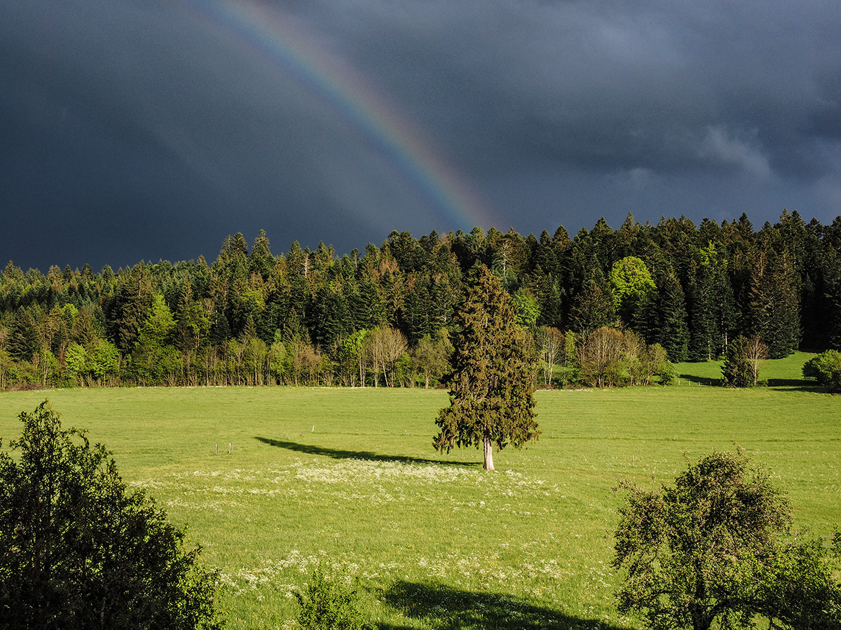 full