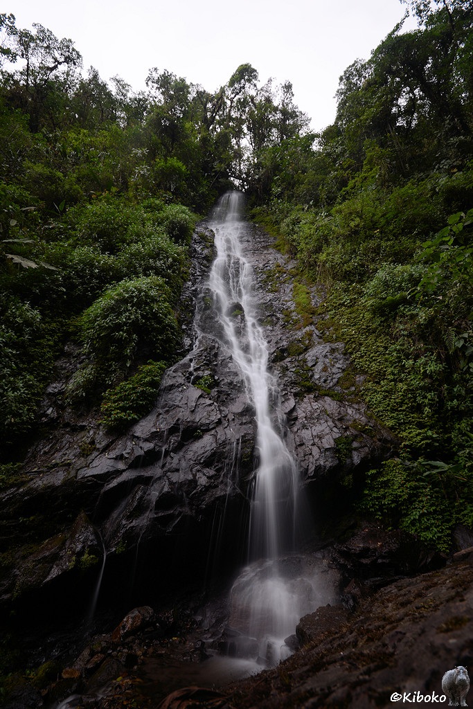 Das Bild zeigt eine Hochformataufnahme eines Wasserfalls. Ein Bachlauf läuft über einen Felshang in vielen kleinen Einzelfällen. Das Wasser teilt sich teilweise in mehrere  paralele Fälle auf. Durch eine Langzweitbelichtung sind keine einzelnen Tropfen sichtbar.