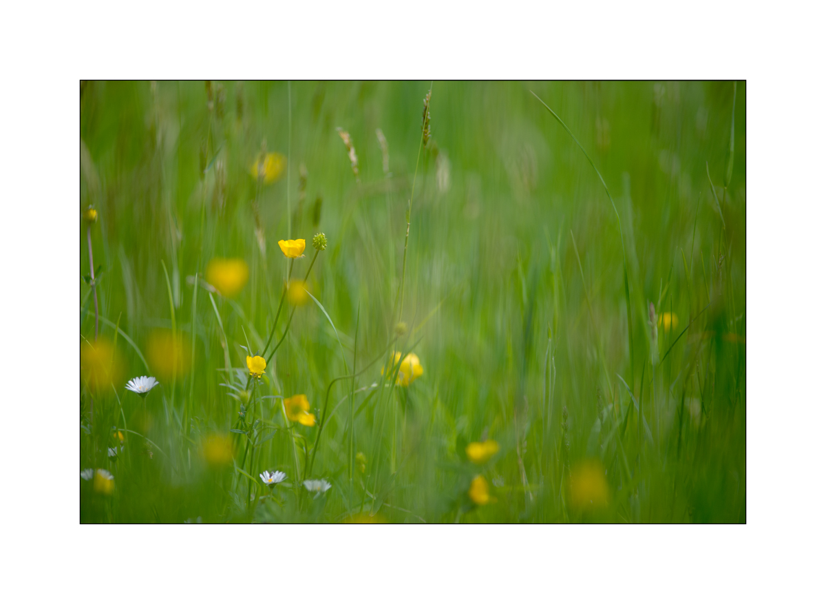 full