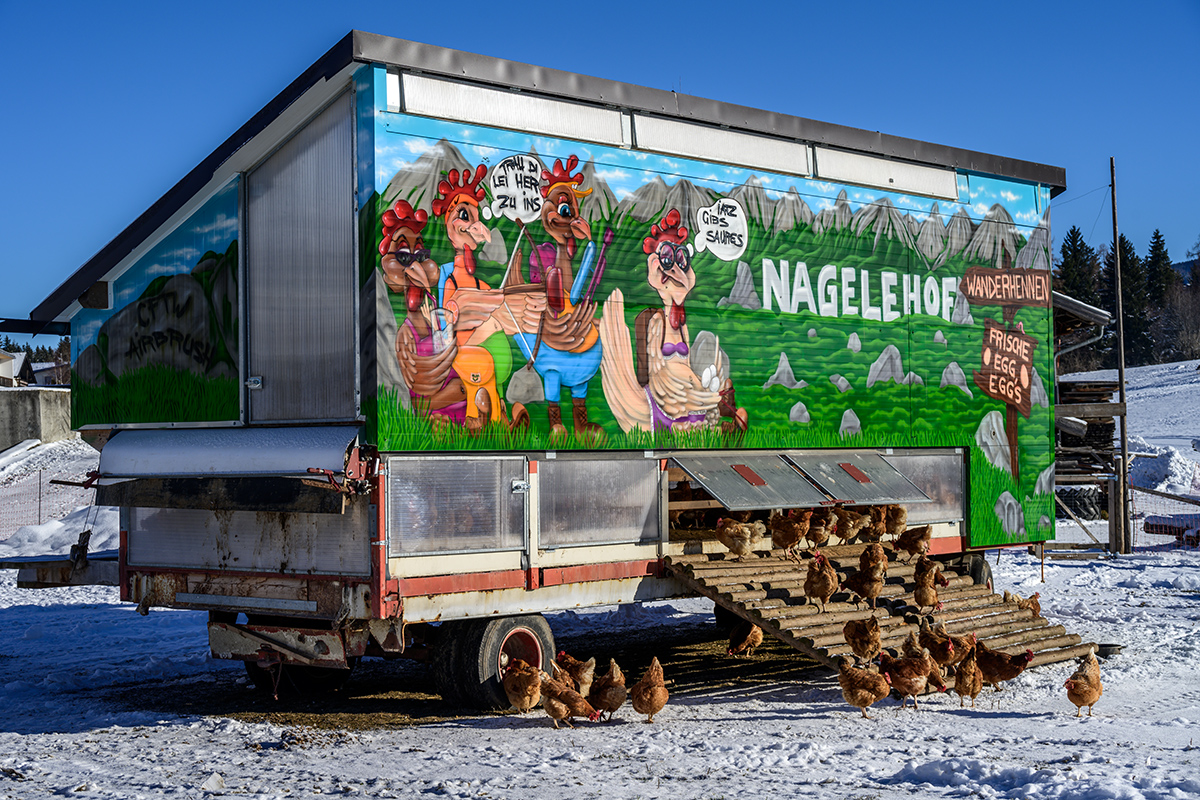 20211212_NZ7_0450NF.jpg