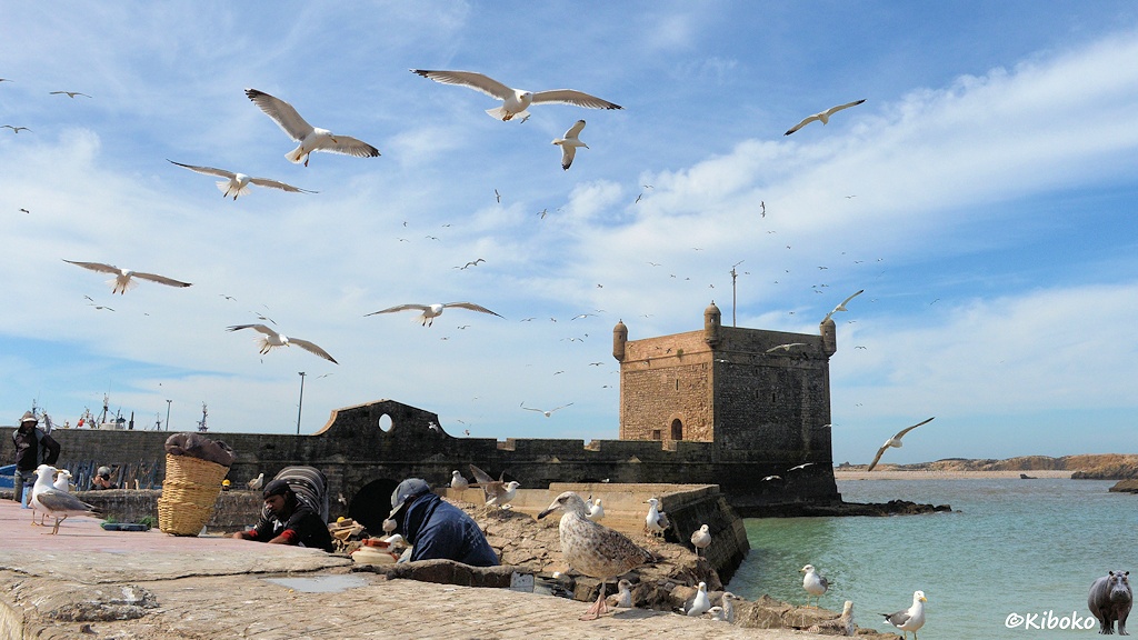 Das Bild zeigt eine Sandsteinamuer und einen viereckiken Turm am Meer. Im Vordergrund arbeiten zwei Fischer hinter einer Mauer. Sie werden umlagert durch zahlreiche Möwen. Der Himmel ist voll Möwen.