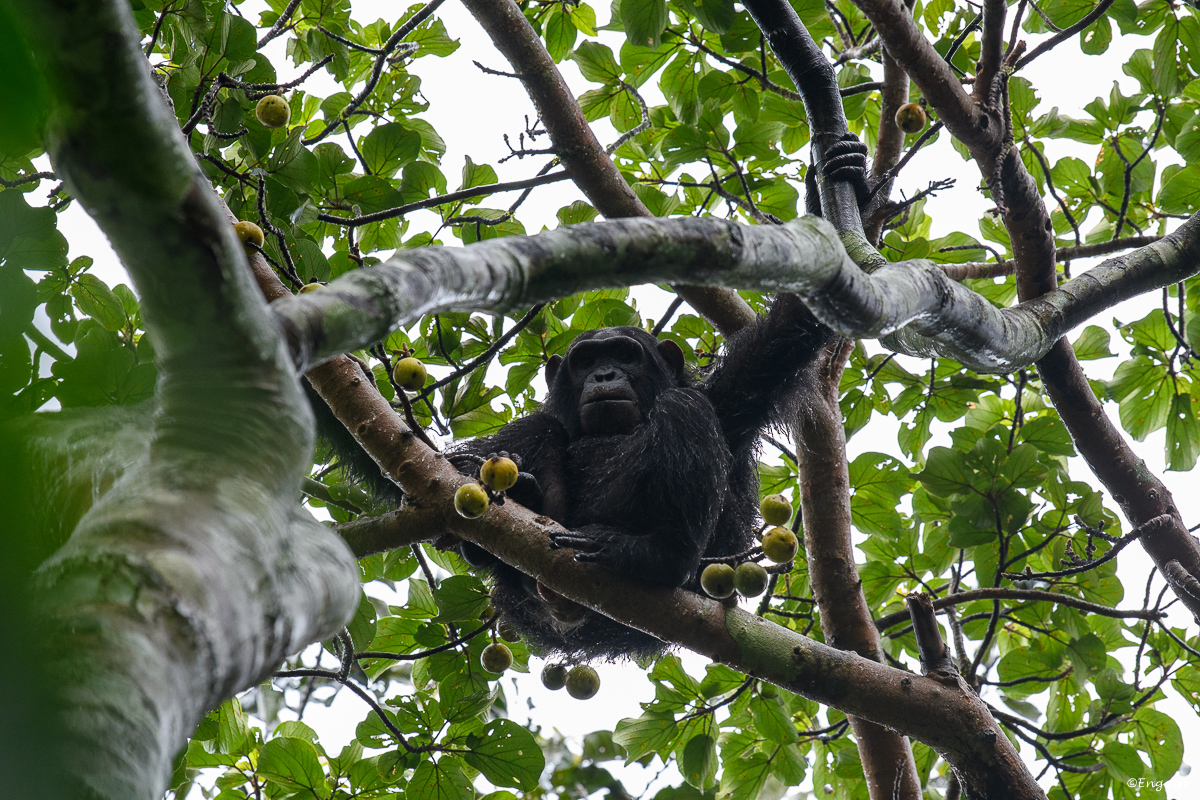 Uganda%200785.jpg