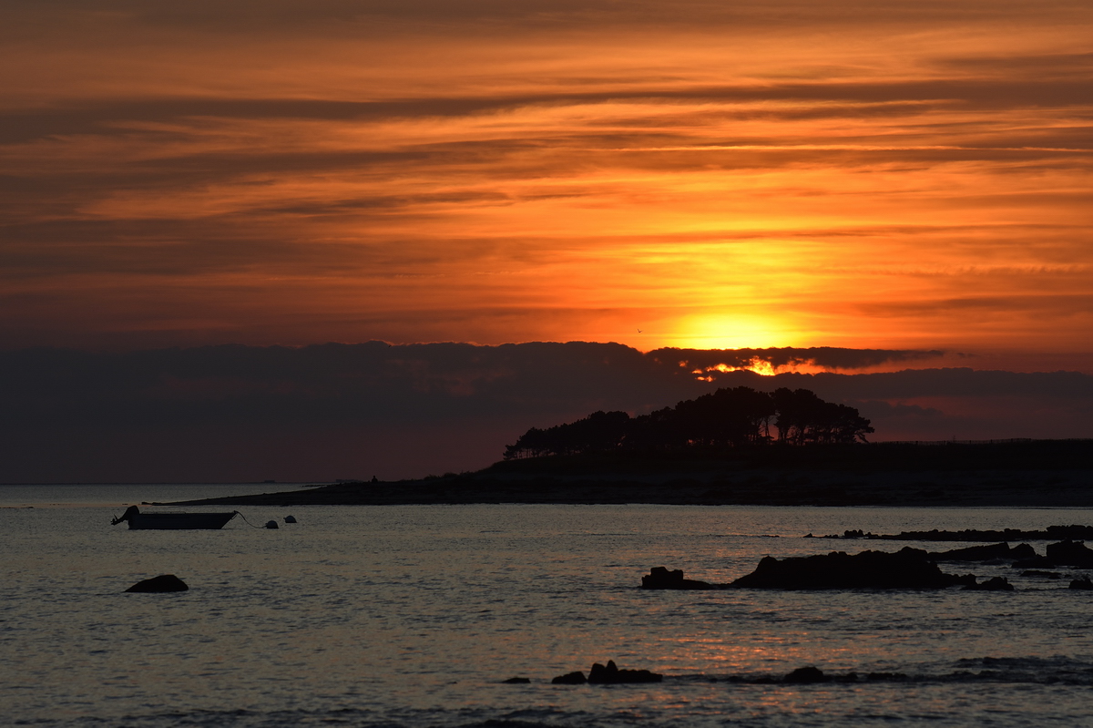 full