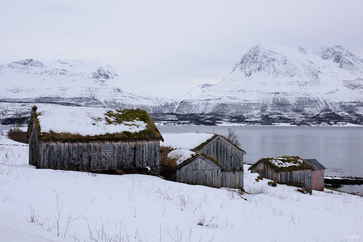 DSC_2351.jpg