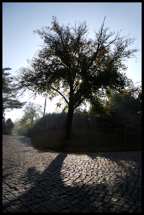 Die_letzten_Sonnenstrahlen_by_Odin77.jpg