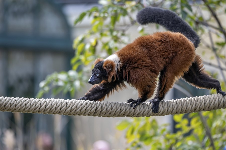 zoovienna23_55.jpg
