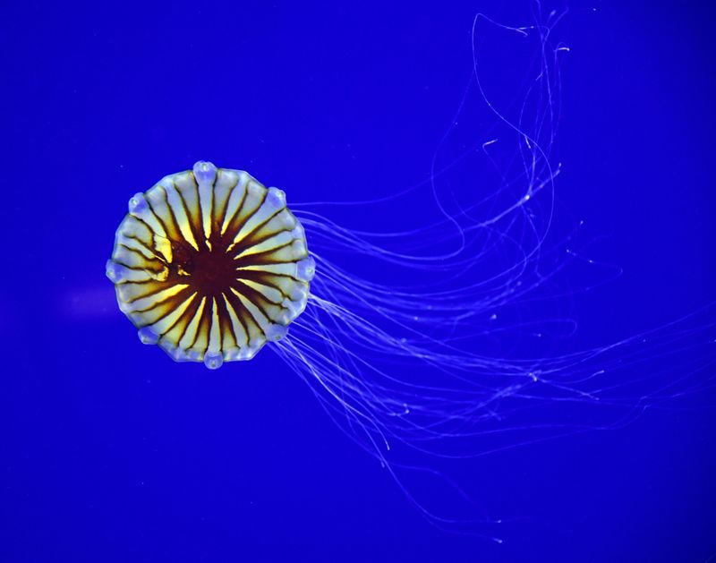 d75_7580.jpg