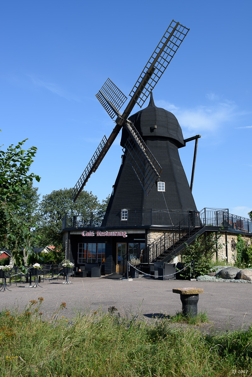 DSC_7734.jpg