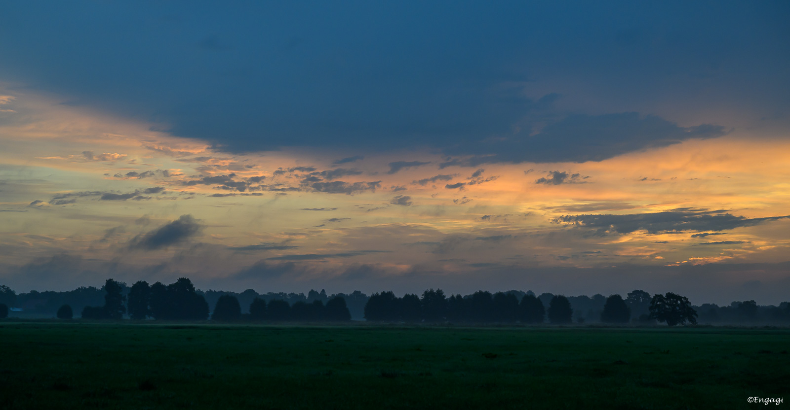 DSC_0467.jpg