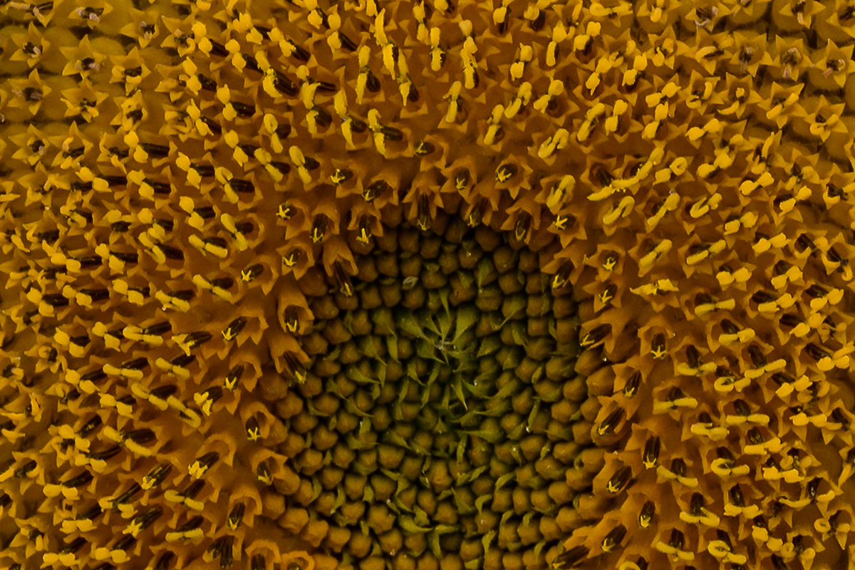 20220910_NZ7_1558vNF.jpg