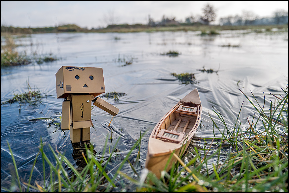 danbo01.jpg