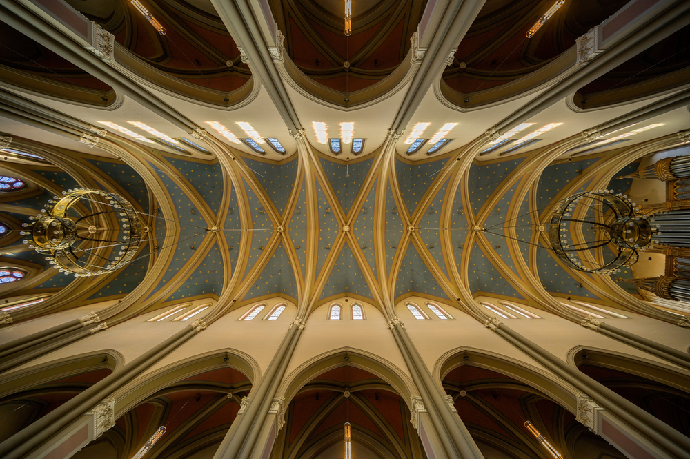 46657629vl.jpg