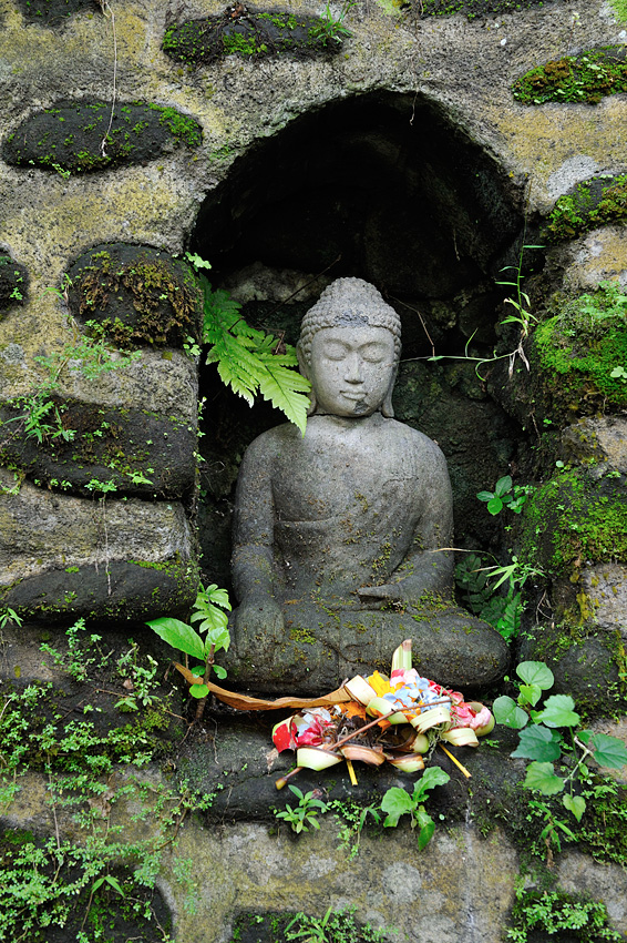 _DSC3752_web.jpg