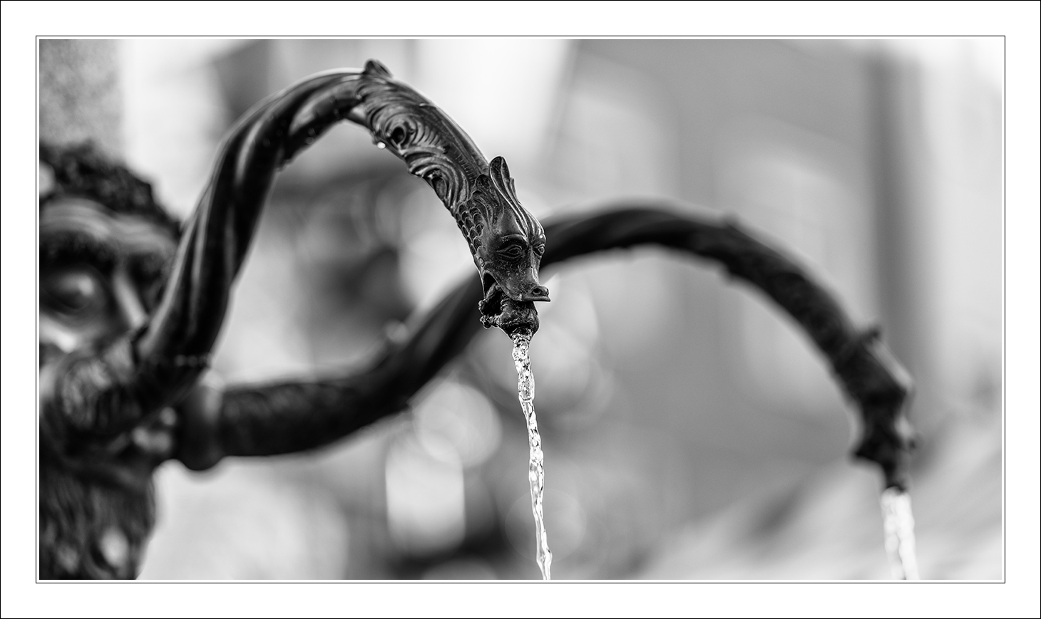 20181203_D850_0051vwswNF.jpg