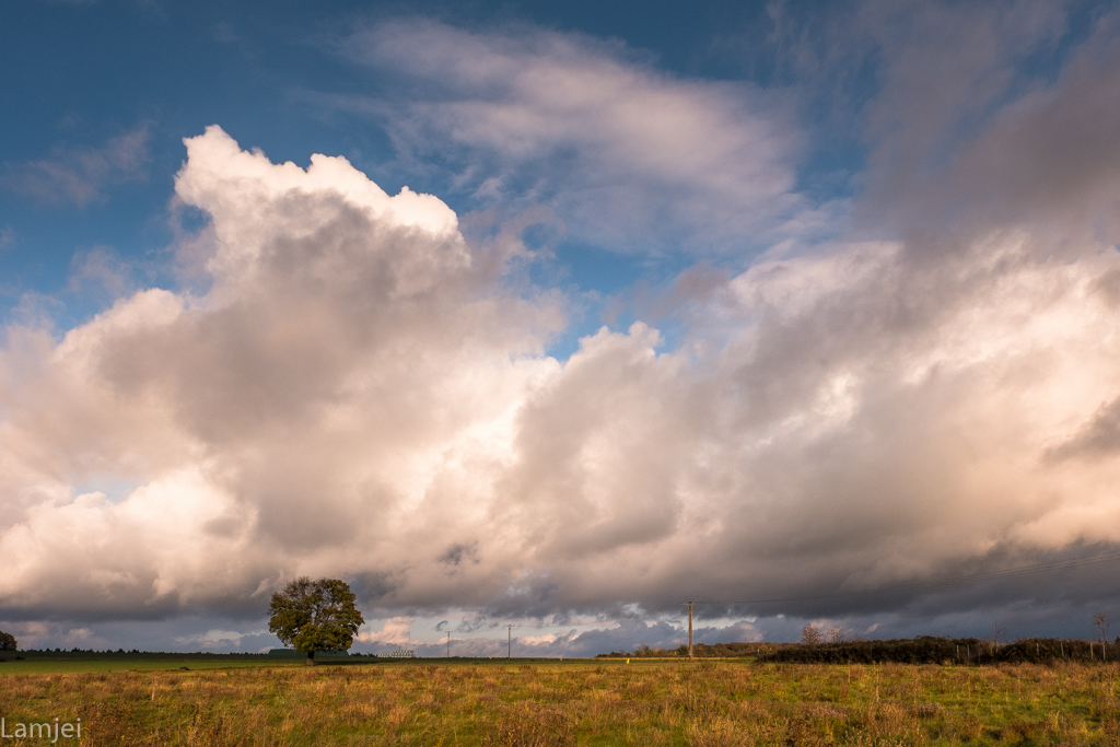 XT-20_290-2.jpg