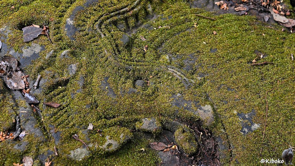 Das Bild zeigt zeigt eine mossbewachsene Platte mit einem großen Relief mit dem Kopf einer Schlange oder eines Drachens.