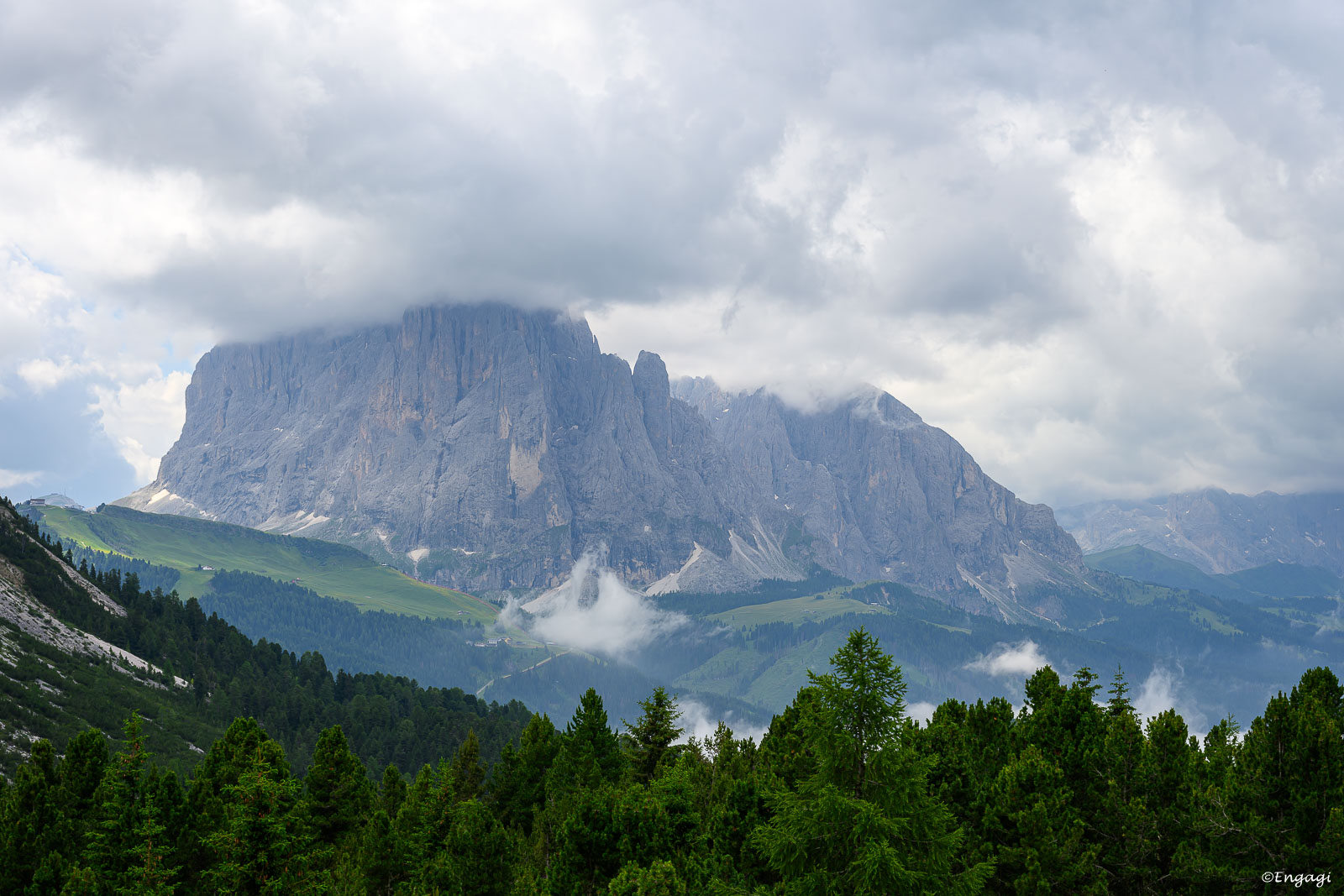 DSC_4586.jpg