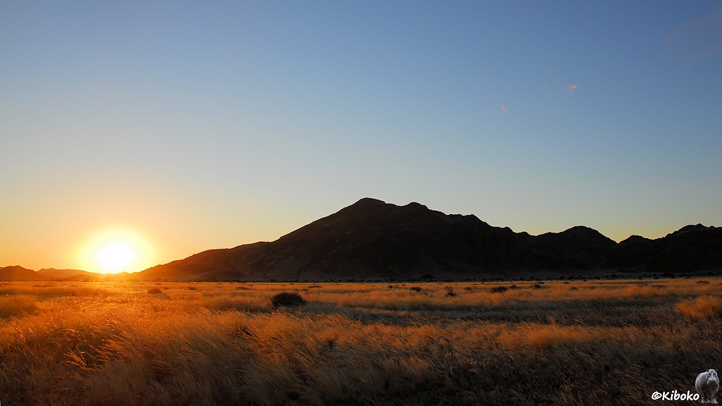 Die Sonne verschwinde zwischen schwarzen Bergen. Das Gras auf der Ebene leuchtet goldgelb im Gegenlicht.