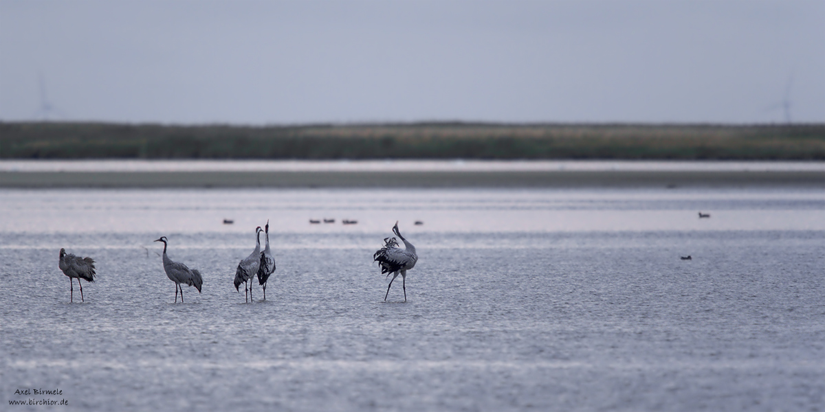 20150925_0087_PS_1200Px.jpg