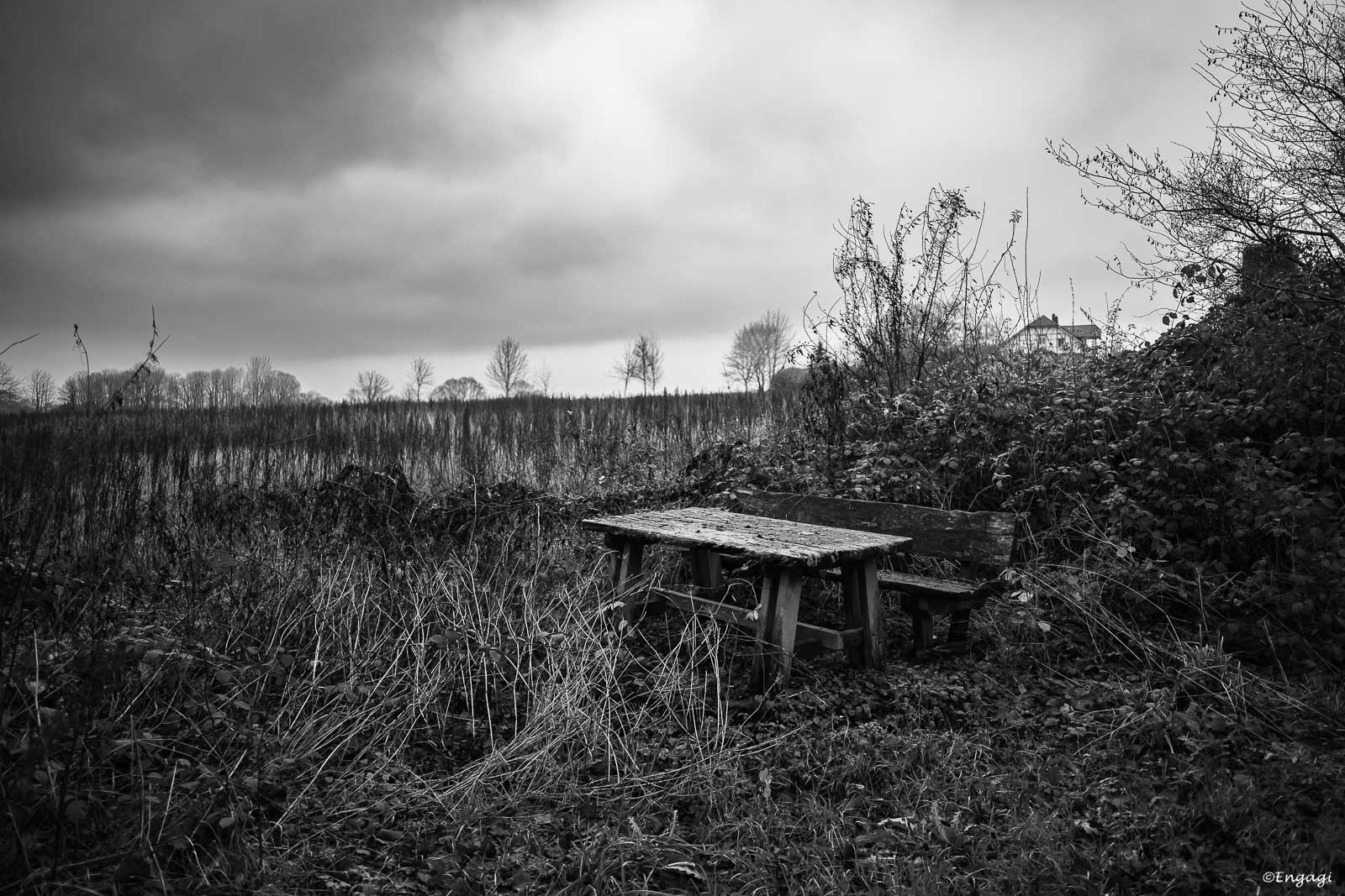 DSC_5760.jpg
