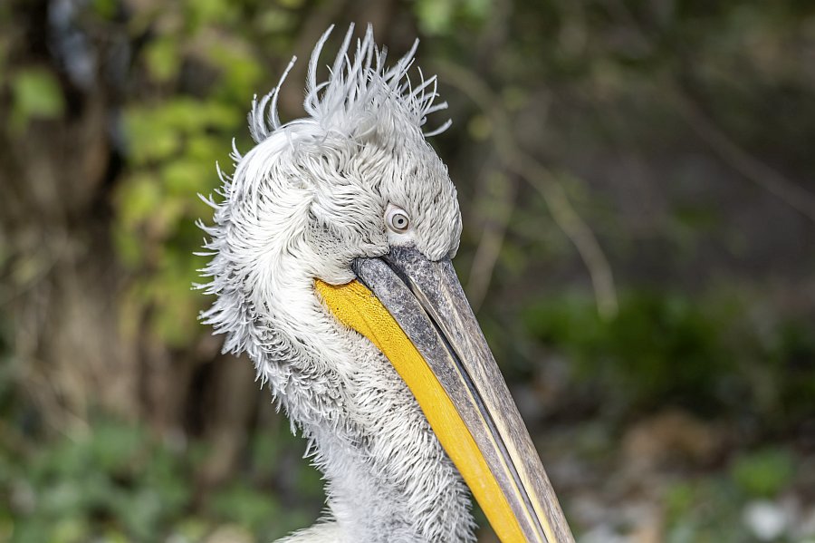 zoovienna24_46.jpg