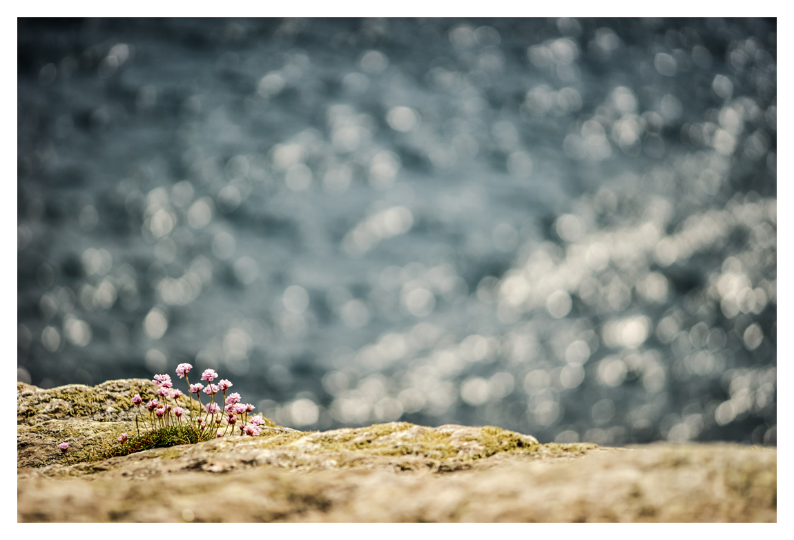 Bretagne_2016_nf_17.jpg