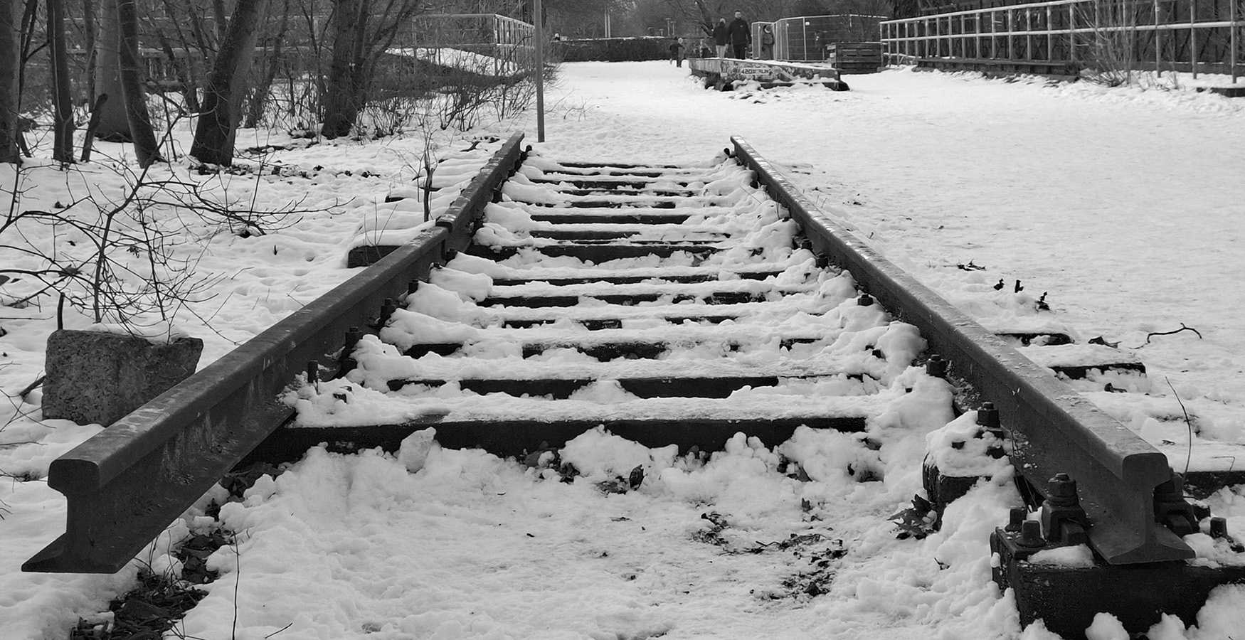 20250216-165839bw-2k.jpg