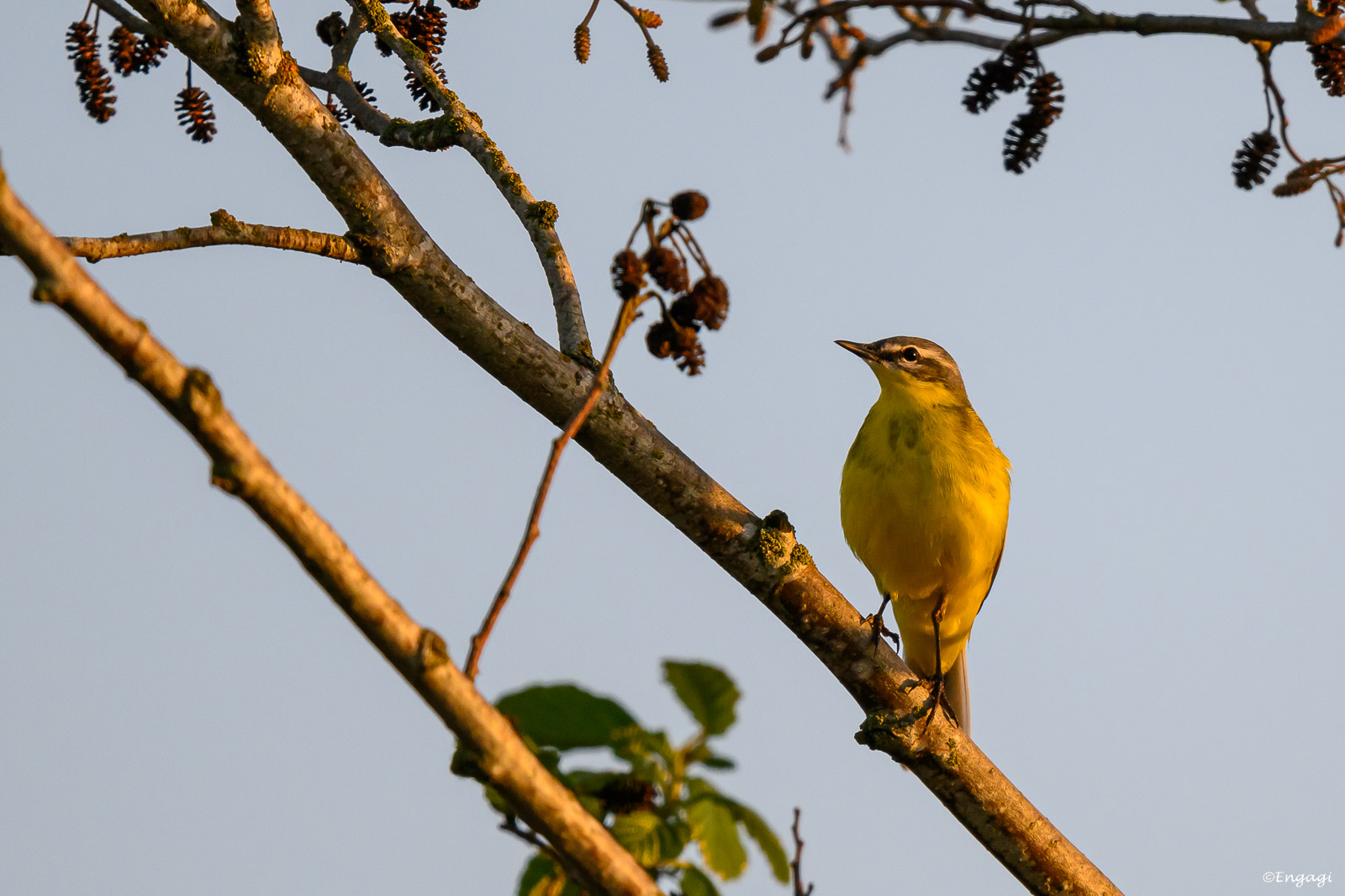 DSC_8048.jpg