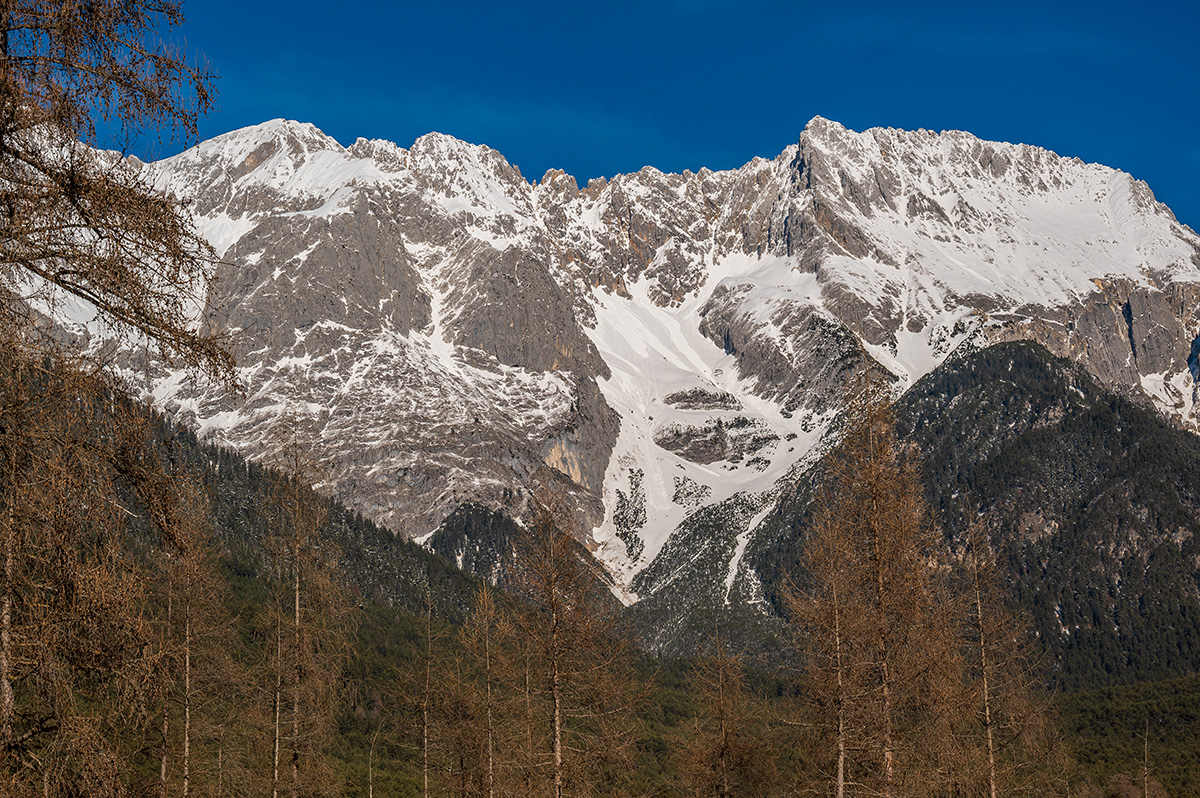20220113_NZ6_1306NF.jpg