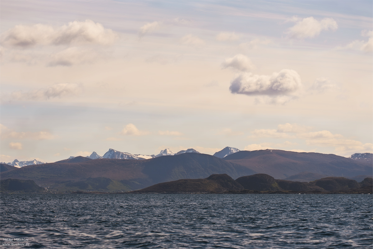 20140513_0227_PS_1200Px.jpg
