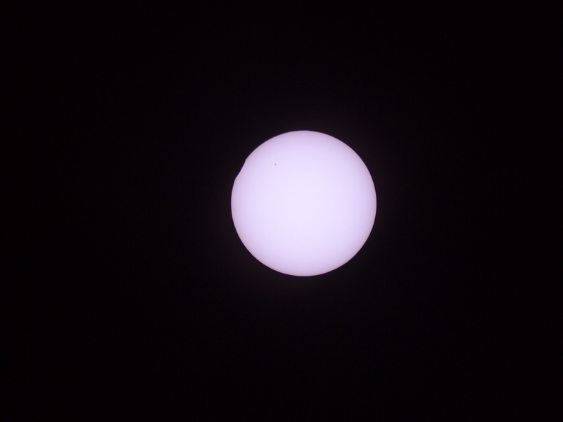21336773yw.jpg