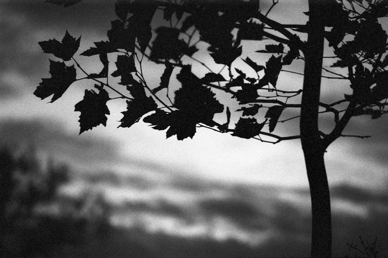 film7_13k.jpg