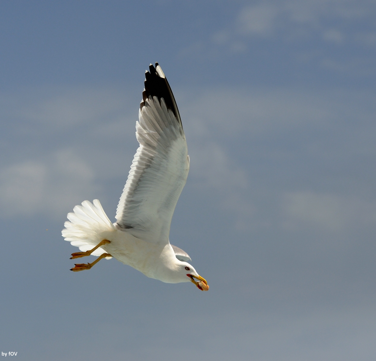 C_DSC_6957_3.jpg