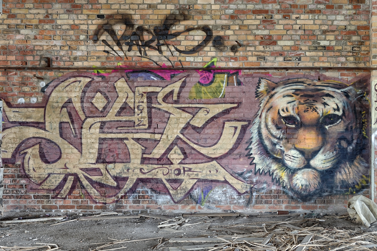 Gr_803_7629.jpg