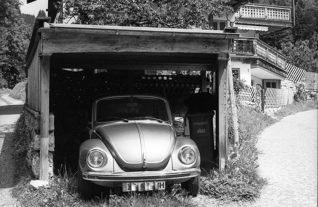 36446645030_8319c3e258_b.jpg